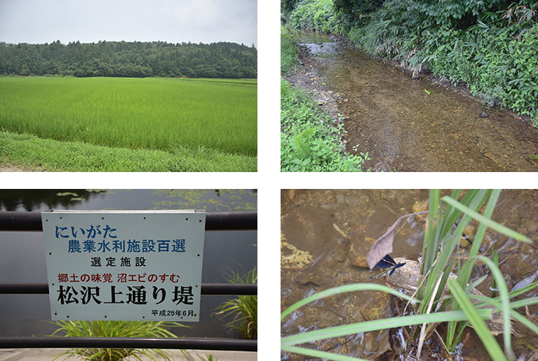 農園風景
