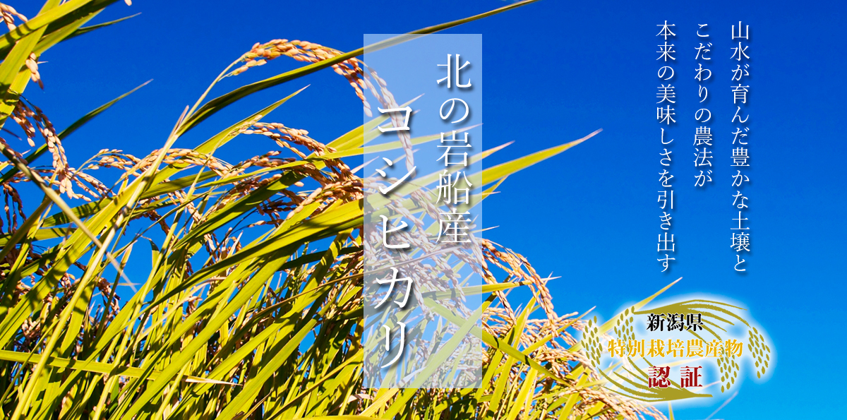 新潟岩船産コシヒカリの通販｜ファームナンマ