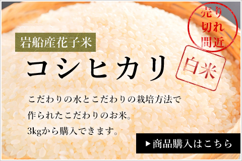 コシヒカリ白米