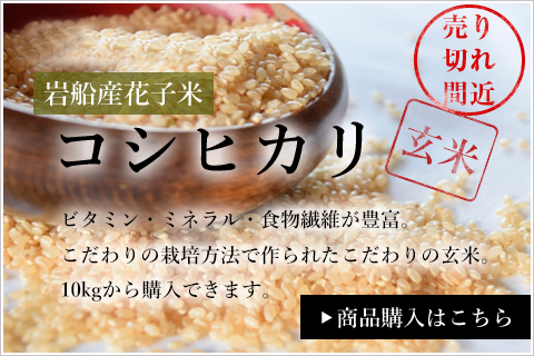 コシヒカリ玄米